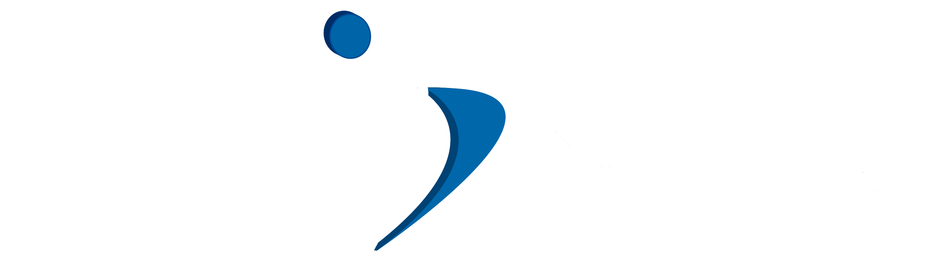 Innovative Dynamic Networks logo